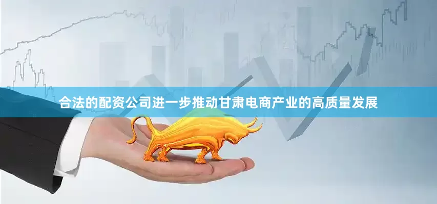合法的配资公司进一步推动甘肃电商产业的高质量发展